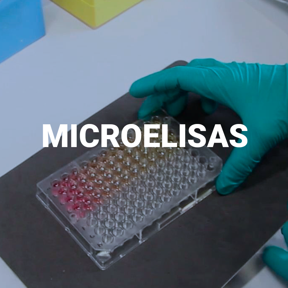 MICREOELISAS