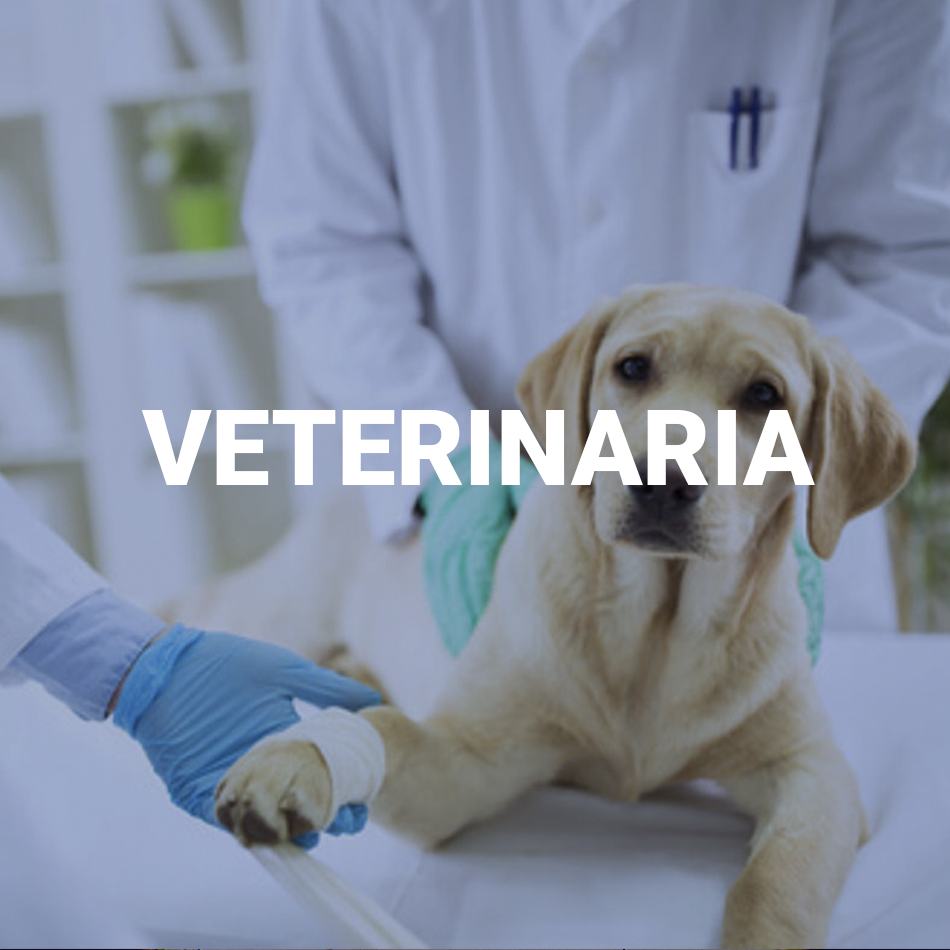 VETERINARIA