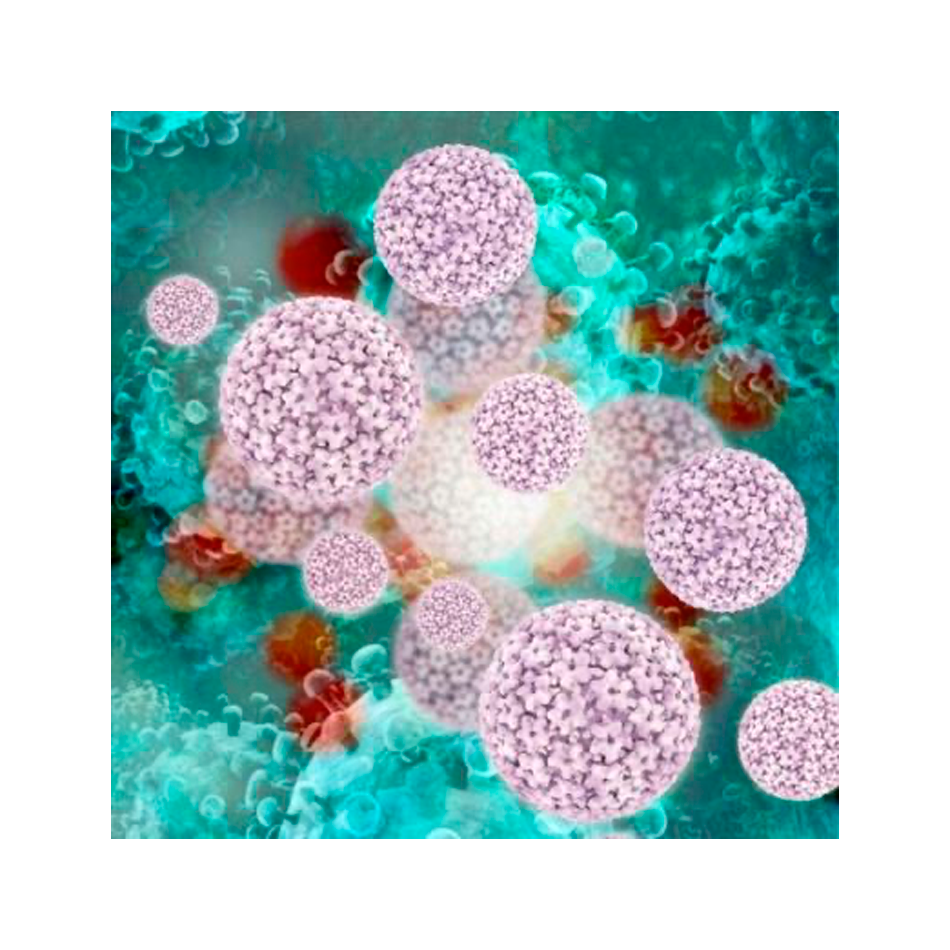 HPV Direct Flow Chip Kit