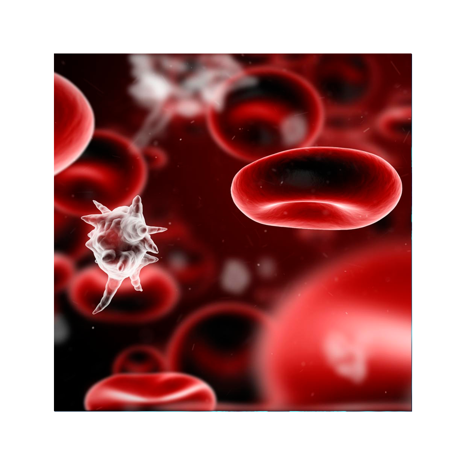 Sepsis Flow Chip Kit