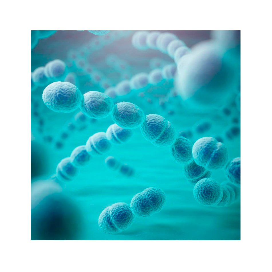 bacterial CNS Flow Chip Kit